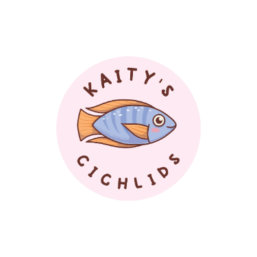 Kaity's Cichlids